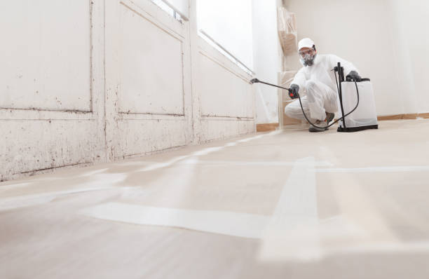 24/7 Emergency Black Mold Remediation experts in Warrenton, VA