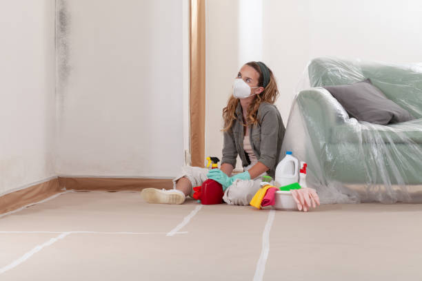Reliable Black Mold Remediation contractor in Warrenton, VA by Car Mold Remediation